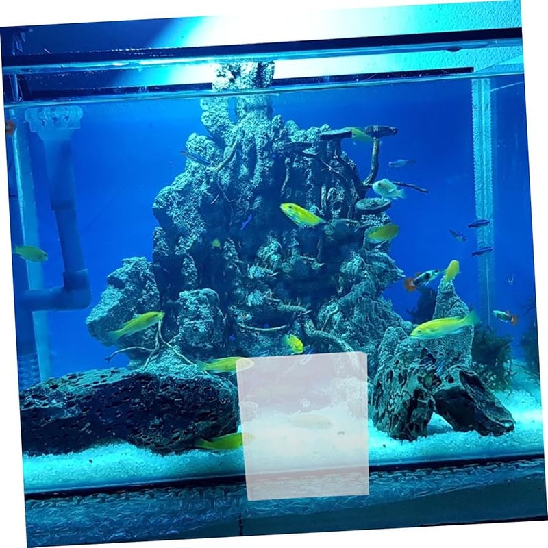 VICASKY صندوق مراقبة تربية أسماك بيتا الشفاف حوض أسماك مكتبي - Image 5